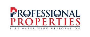 Professional Properties Logo